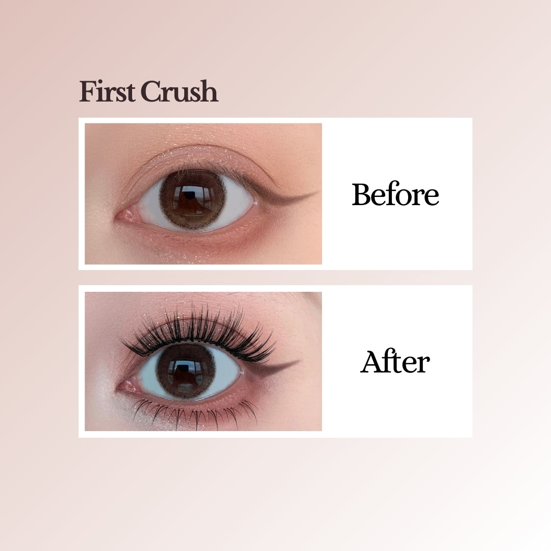 EviShine Essential Kit