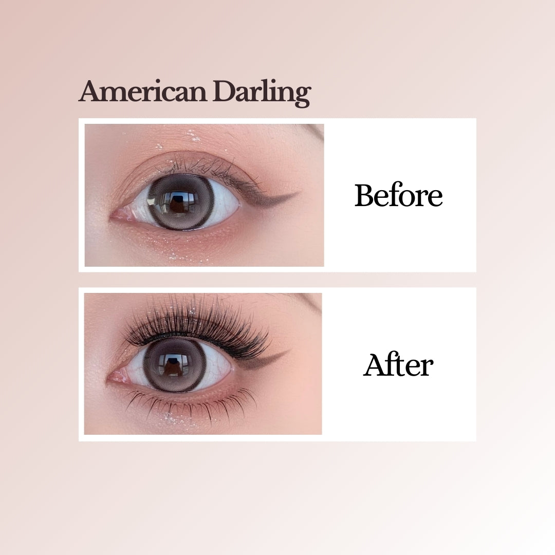 EviShine Essential Kit (Limited Edition)